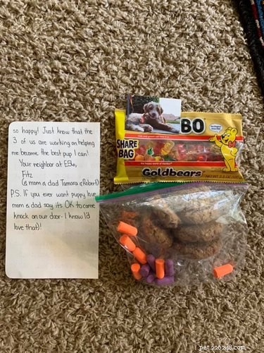 11 Adorable Pet Letters That Took the Internet by Storm