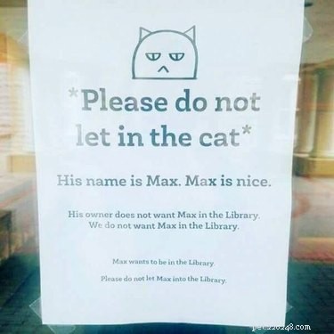 11 Adorable Pet Letters That Took the Internet by Storm