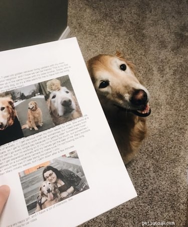 11 Adorable Pet Letters That Took the Internet by Storm