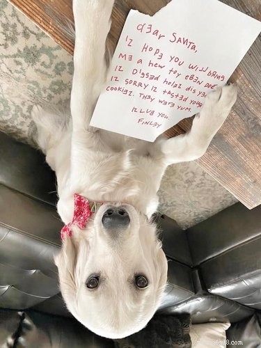 11 Adorable Pet Letters That Took the Internet by Storm