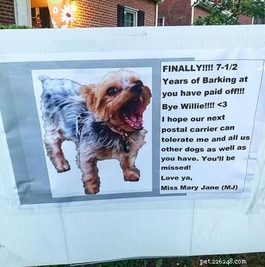 11 Adorable Pet Letters That Took the Internet by Storm