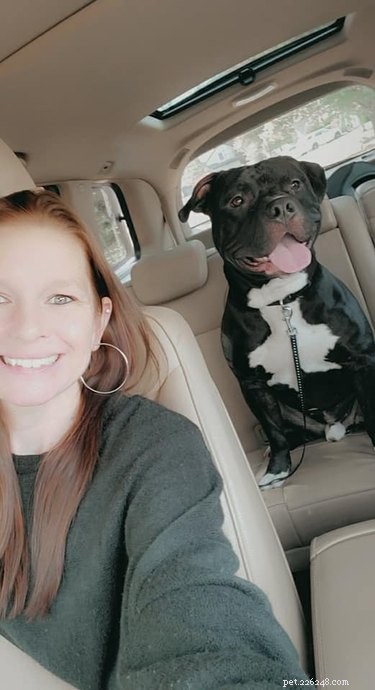 Top Highlights from the Then & Now Pet Photo Challenge