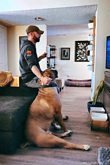 Top Highlights from the Then & Now Pet Photo Challenge