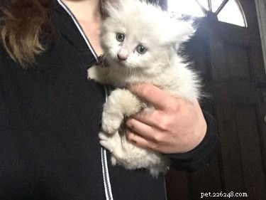 Top Highlights from the Then & Now Pet Photo Challenge