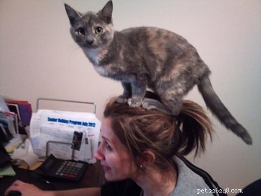 13 Pets That Encounter the Supernatural