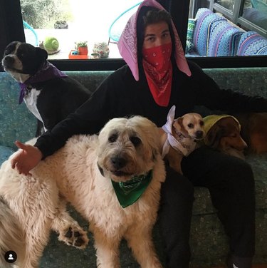 Meet 14 Celebrities and Their Beloved Pets