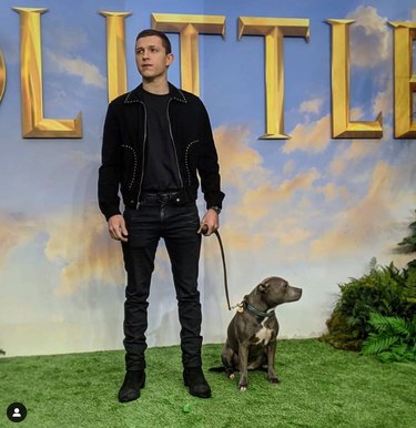 Meet 14 Celebrities and Their Beloved Pets