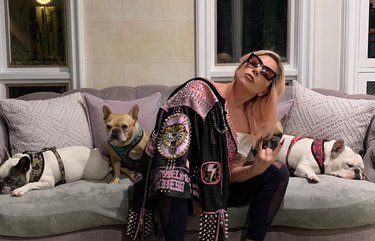 Meet 14 Celebrities and Their Beloved Pets