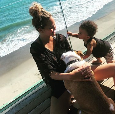 Meet 14 Celebrities and Their Beloved Pets
