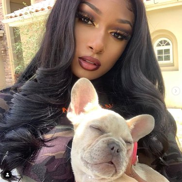 Meet 14 Celebrities and Their Beloved Pets