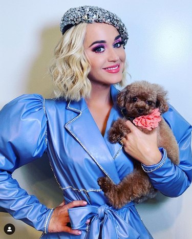 Meet 14 Celebrities and Their Beloved Pets