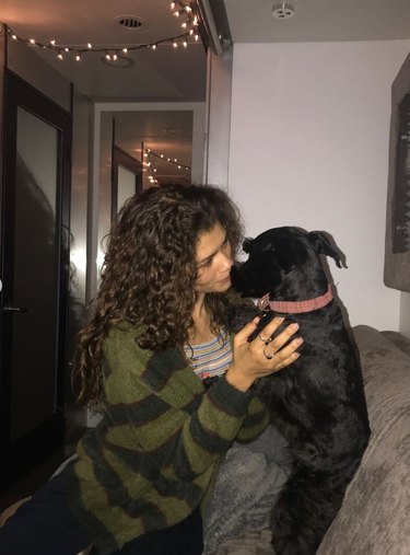 Meet 14 Celebrities and Their Beloved Pets