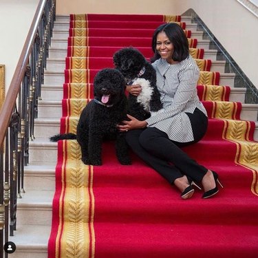 Meet 14 Celebrities and Their Beloved Pets
