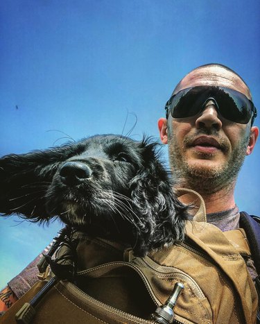 Meet 14 Celebrities and Their Beloved Pets