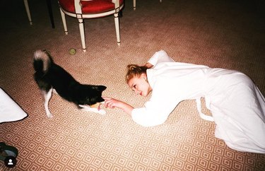 Meet 14 Celebrities and Their Beloved Pets