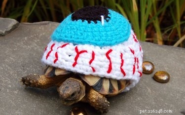 Adorable Turtles & Tortoises in Costumes: A Trending Phenomenon