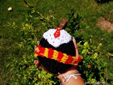 Adorable Turtles & Tortoises in Costumes: A Trending Phenomenon