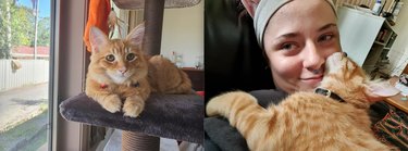17 Inspiring Foster Stories That Show Pets Find Their Forever Homes