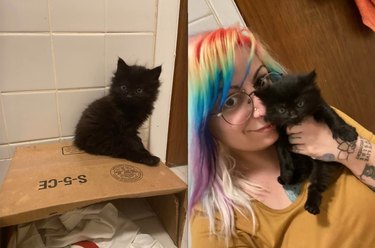17 Inspiring Foster Stories That Show Pets Find Their Forever Homes