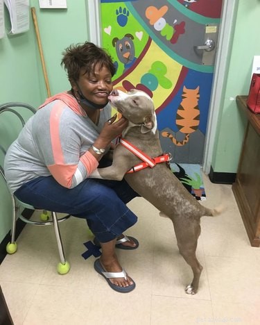 17 Inspiring Foster Stories That Show Pets Find Their Forever Homes