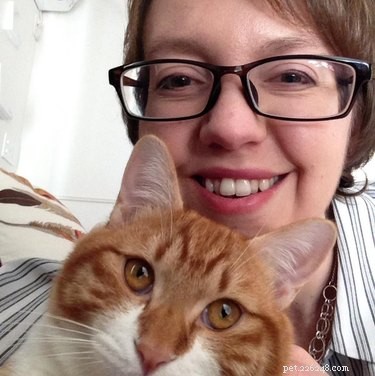 17 Inspiring Foster Stories That Show Pets Find Their Forever Homes