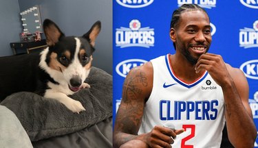 Guess the Celebrity, Food, or Pop Culture Reference Behind These Pets  Names—A Visual Challenge