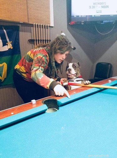 19 Pets Guaranteed to Make You Laugh Out Loud