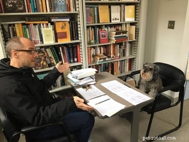 17 Pets Studying Independently: A Charming Insight