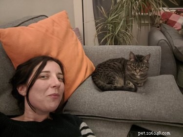 Professors Use Pet Photos to Boost Online Engagement — A Heartwarming Trend