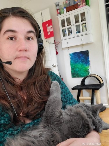 Professors Use Pet Photos to Boost Online Engagement — A Heartwarming Trend
