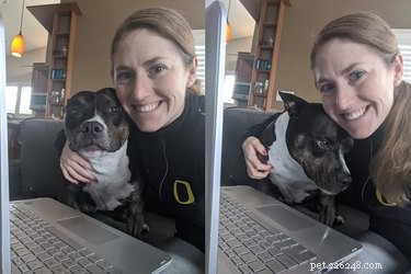 33 Pets to Boost Your Productivity While Working From Home