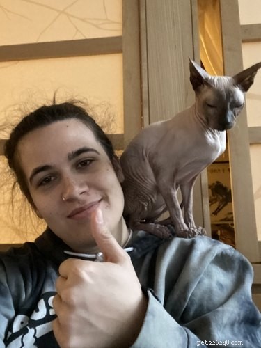 33 Pets to Boost Your Productivity While Working From Home