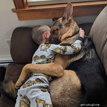 16 Adorable Fuzzy Animals Guaranteed to Brighten Your Day