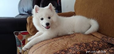 16 Adorable Fuzzy Animals Guaranteed to Brighten Your Day