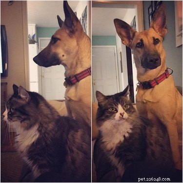 16 Adorable Fuzzy Animals Guaranteed to Brighten Your Day