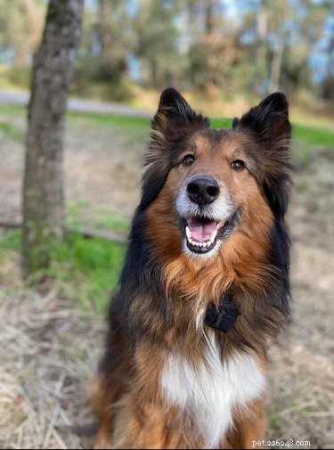 16 Adorable Fuzzy Animals Guaranteed to Brighten Your Day