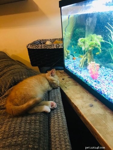 16 Adorable Fuzzy Animals Guaranteed to Brighten Your Day