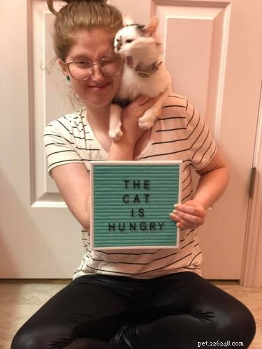 19 Hilarious Pet Letter Boards That Will Make You Laugh
