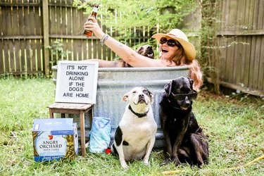 19 Hilarious Pet Letter Boards That Will Make You Laugh