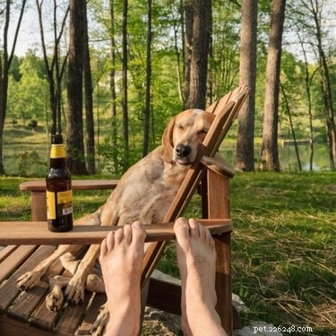 17 Animals Mastering the Art of Relaxation—Turning Every Day Into a Weekend