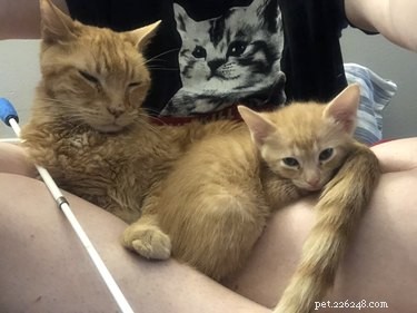 18 Adorable Pets That Will Melt Your Heart