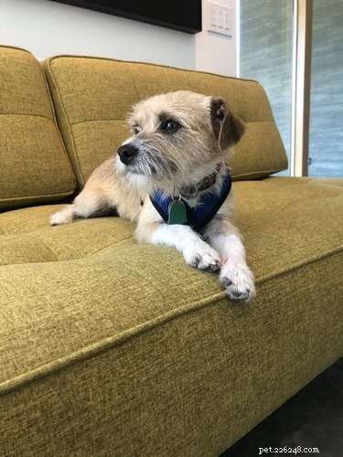 18 Adorable Pets That Will Melt Your Heart