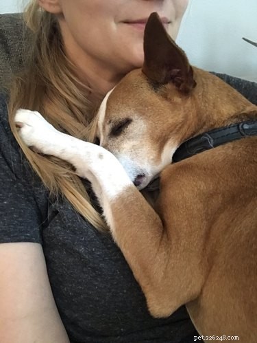 18 Adorable Pets That Will Melt Your Heart