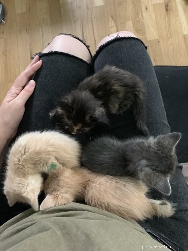 18 Adorable Pets That Will Melt Your Heart