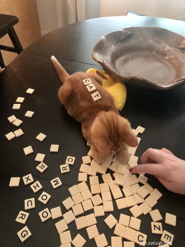18 Adorable Pets That Will Melt Your Heart