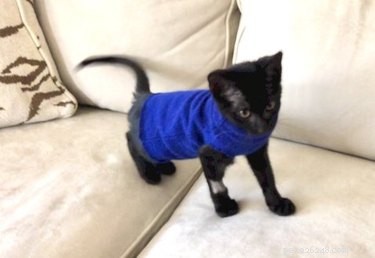 18 Adorable Pets That Will Melt Your Heart