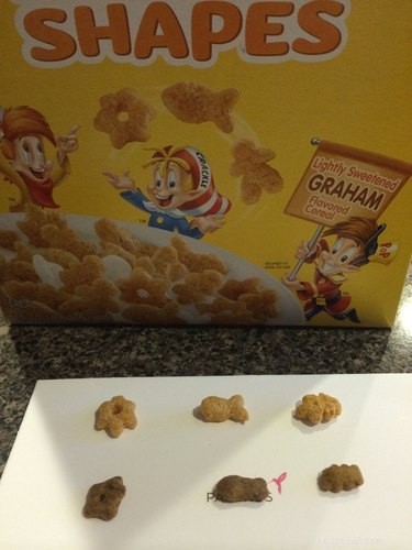17 Adorable Pets Who Crave Your Breakfast Cereal