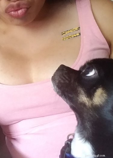 18 Remarkably Patient Pets That Outlast Us All
