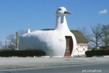27 Animal-Inspired Buildings That Astonish the World
