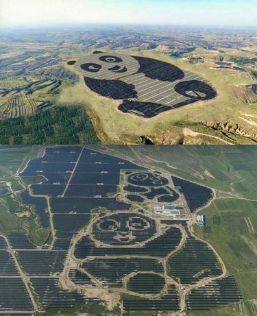 27 Animal-Inspired Buildings That Astonish the World